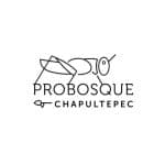 Probosque Chapultepec