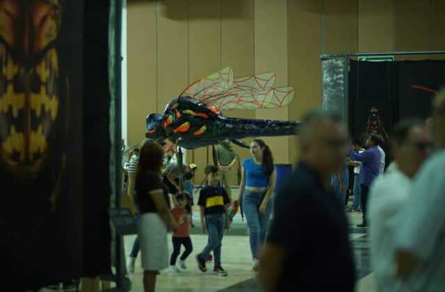 Exposiciones creativas: Insectus, cuenta con actividades únicas